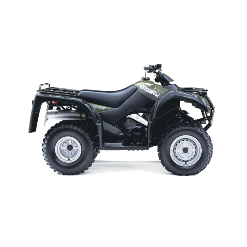 Suzuki Ozark 250 RS Marine Power Sports Ltd.